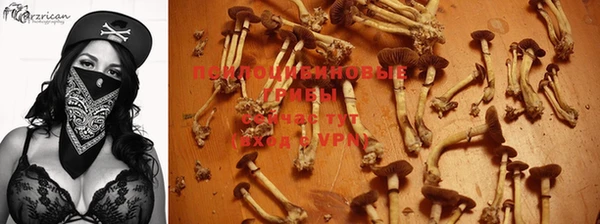 экстази Балахна