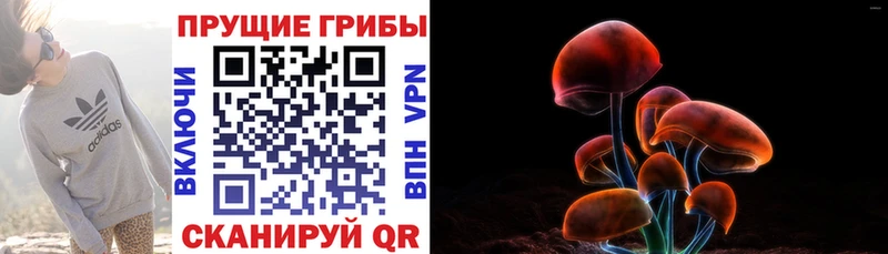 hydra зеркало  Калининец  Псилоцибиновые грибы GOLDEN TEACHER  купить наркоту 